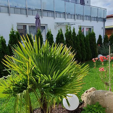 צינוביץ Ferienwohnungen "Godewind", Appartements Mit Balkon Oder Terrasse מראה חיצוני תמונה