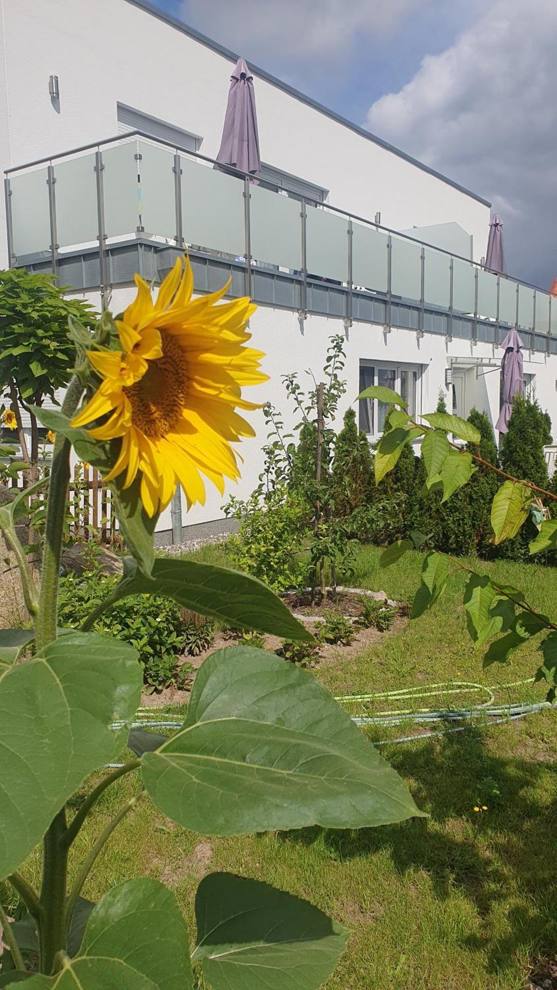 צינוביץ Ferienwohnungen "Godewind", Appartements Mit Balkon Oder Terrasse מראה חיצוני תמונה